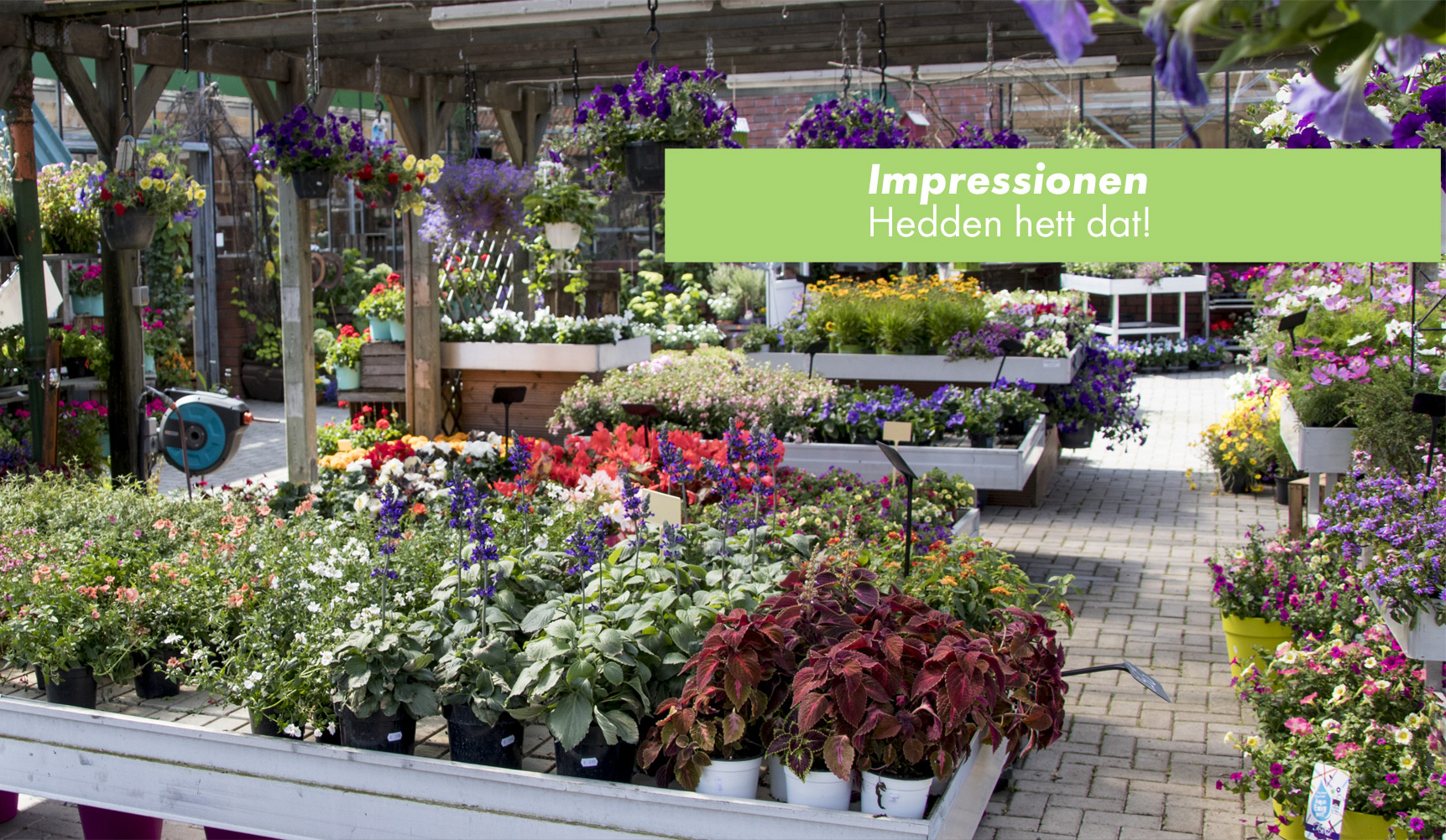Garten- und Pflanzencenter Hedden Impressionen